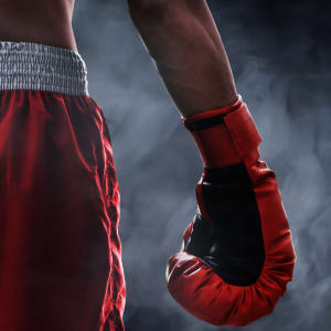 Jak vybrat sprÃ¡vnÃ©ho boxera, na kterÃ©ho vsadit