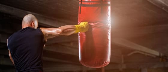 Co je třeba zvážit při sázení na MMA